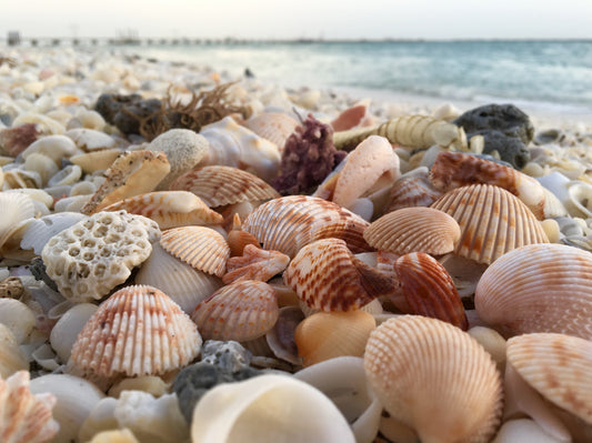 Longboat Key, Florida