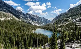 Montana Archives