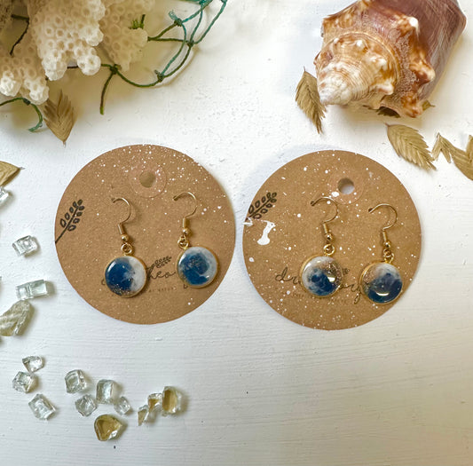 Customizable || Venice Beach Florida Resin Nature Dangle Earrings