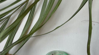 Manasota Key Beach Gold Resin Shell Necklace